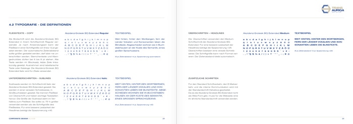 Trans Auriga, Corporate Design Guide, Inhalt 8